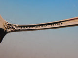 Chrysanthemum by Durgin Sterling Silver Preserve Spoon 7 1/2" Serving Piece
