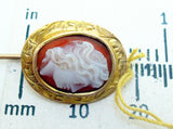 14K Gold Oval Shell Genuine Natural Cameo Stick Pin (#J2669)