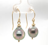 14k Yellow Gold 10mm Tahitian Black Pearl Dangle Earrings Jewelry (#J6119)