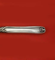 Palm by Tiffany and Co Sterling Silver Regular Knife Blunt 9 1/4" Flatware