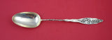 Lily of the Valley by Whiting Sterling Platter Spoon AS twist handle 1888  12"