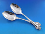 Spanish Baroque by Reed & Barton Sterling Silver Flatware Service 12 Set 89 Pcs