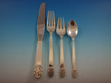 Northern Lights by International Sterling Silver Flatware Set Service 48 pieces