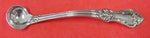 Afterglow by Oneida Sterling Silver Mustard Ladle 4 3/4" Custom