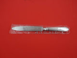 Belvedere by Robbe and Berking Sterling Silver Dinner Knife pointed new 9 1/2"