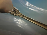 Lasting Grace by Lunt Sterling Silver Regular Size Place Setting(s) 4pc New