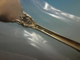 Lasting Grace by Lunt Sterling Silver Regular Size Place Setting(s) 4pc New