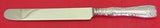Wave Edge by Tiffany and Co Sterling Silver Dinner Knife blunt with SP 9 1/2"