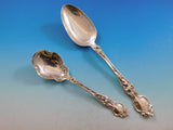 Violet by Wallace Sterling Silver Flatware Service for 8 Set 77 pcs no monograms