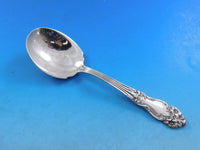 Amaryllis by Reed & Barton Sterling Silver Flatware Set 8 Service 35 pcs Dinner