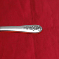 Pendant of Fruit by Lunt Sterling Silver Soup Ladle HH WS Custom Made 10 1/2"