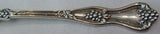 Grape by Dominick & Haff Sterling Silver Ice Cream Server GW Fancy 10 1/2"