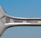 Candlelight by Towle Sterling Silver Teaspoon 6" Flatware Silverware Floral