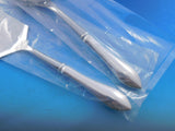 Pointed Antique by Dominick and Haff Sterling Silver Italian Set 2pc HHWS Custom