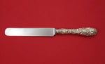 Princess by Stieff Sterling Silver Regular Knife Blunt Silverplated Blade 8 1/2"