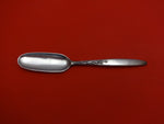 Summer Song by Lunt Sterling Silver Cheese Scoop Flat All Sterling Orig 6 1/2"