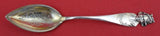 Sunny South by Shiebler Sterling Grapefruit Spoon GW "Jacksonville FLA" 6 5/8"