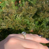 14k Yellow Gold Art Deco Filigree Ring w/Specialty Hexagon Cut Aquamarine #J6544