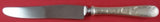 Old Maryland Engraved by Kirk Sterling Silver Dinner Knife New French 9 5/8"