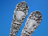 Renaissance by Dominick and Haff Sterling Silver Flatware Set Service 99 pcs Din
