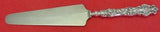 Irian by Wallace Sterling Silver Cake Server Hollow Handle Narrow Orig 10 1/4"
