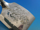 Saint James by Tiffany and Co Sterling Asparagus Serving Tong Fleur De Lis BC