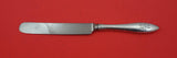 Buckingham Narrow by Shreve Sterling Silver Dinner Knife blunt HH WS 9 3/4"