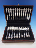 Delacourt by Lunt Sterling Silver Flatware Set for 12 Service 48 Pieces