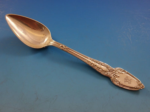 Broom Corn by Tiffany & Co. Sterling Silver Grapefruit Spoon Original 6" Vintage