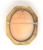 10k Shell Cameo Pin Pendant The Three Graces in Hand Engraved Frame (#J6889)