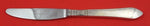 Continental by Georg Jensen Sterling Silver Dinner Knife Long Handle 8 3/4"