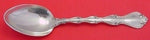 Country Manor by Towle Sterling Silver Serving Spoon 8 1/2" Heirloom