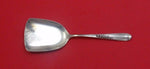 Silver Wheat by Reed & Barton Sterling Silver Nut Spoon Shovel Shape 5"