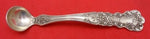 Buttercup by Gorham Sterling Silver Mustard Ladle Custom Made 4 3/8"