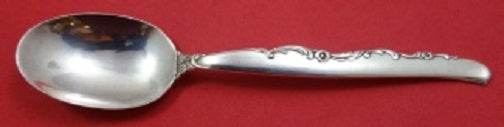 Flower Lane by Oneida Sterling Silver Teaspoon 6"