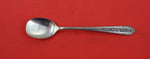 Normandie by Wallace Sterling Silver Jam Spoon 5 5/8"