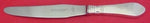 Continental by Georg Jensen Sterling Silver Dinner Knife Short Handle 9 1/4"