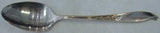 Wishing Star by Wallace Sterling Silver Teaspoon 6"