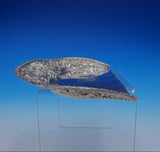 Repousse by Jacobi and Jenkins Dust Pan Crumb Tray (#3326)