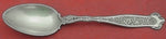 Dresden by Whiting Sterling Silver Teaspoon 5 3/4" Flatware Heirloom