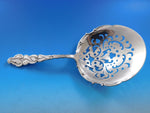 Ailanthus by Tiffany and Co Sterling Silver Saratoga Chip Server Pierced 9"
