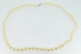 Akoya 6.5mm Saltwater Pearl Strand Necklace with 14k White Gold Clasp (#J4181)
