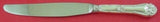 Champlain by Amston / Frank Whiting Sterling Silver Regular Knife Modern 8 3/4"