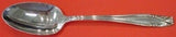 Stradivari by Wallace Sterling Silver Serving Spoon 8 1/2"