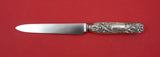 Chrysanthemum by Tiffany and Co Sterling Silver Desert Knife WS pointed 7 1/2"