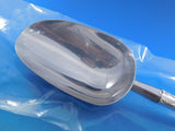 Joan of Arc by International Sterling Silver Ice Scoop HHWS 9" Custom
