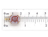 14k Yellow Gold Genuine Natural Agate Signet Pendant Initial "D" (#J7585)