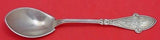 Italian by Tiffany and Co Sterling Silver Ice Cream Spoon Pointed 6" Original