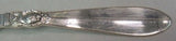 Princess Fuchsia by Frigast Sterling Silver Bouillon Soup Spoon 5 1/8"