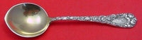 Chrysanthemum by Durgin Sterling Silver Chocolate Spoon GW Pointed 4 1/4"